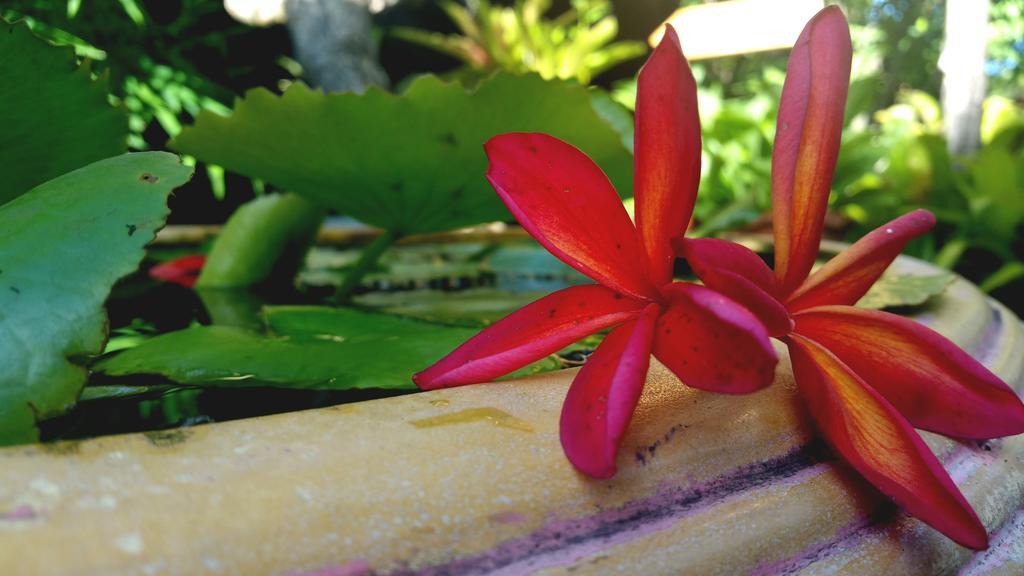 Aonang Guest Home Ao Nang Ngoại thất bức ảnh
